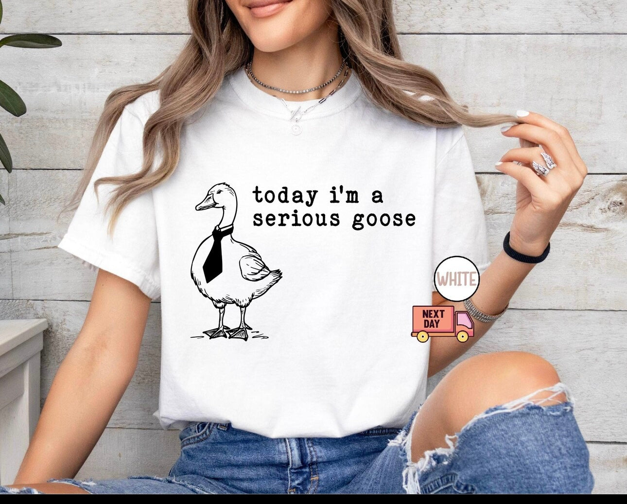 Today I’m A Serious Goose T-Shirt